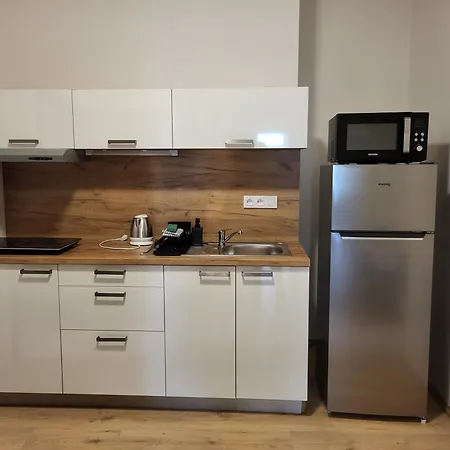 Apartment Center - Moderna Rimske Namesti Iv Brno
